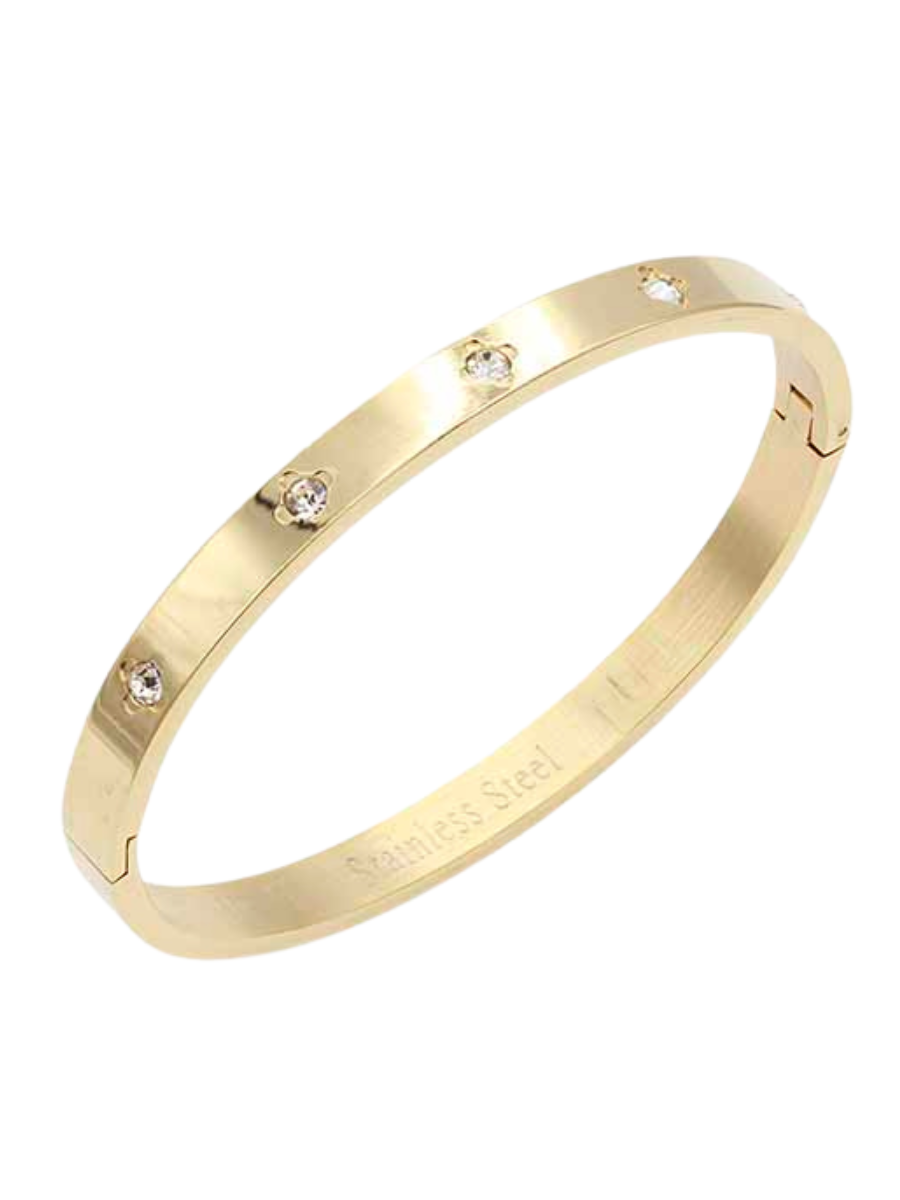 Forever Bound Stainless Steel Hinged Bangle Bracelet