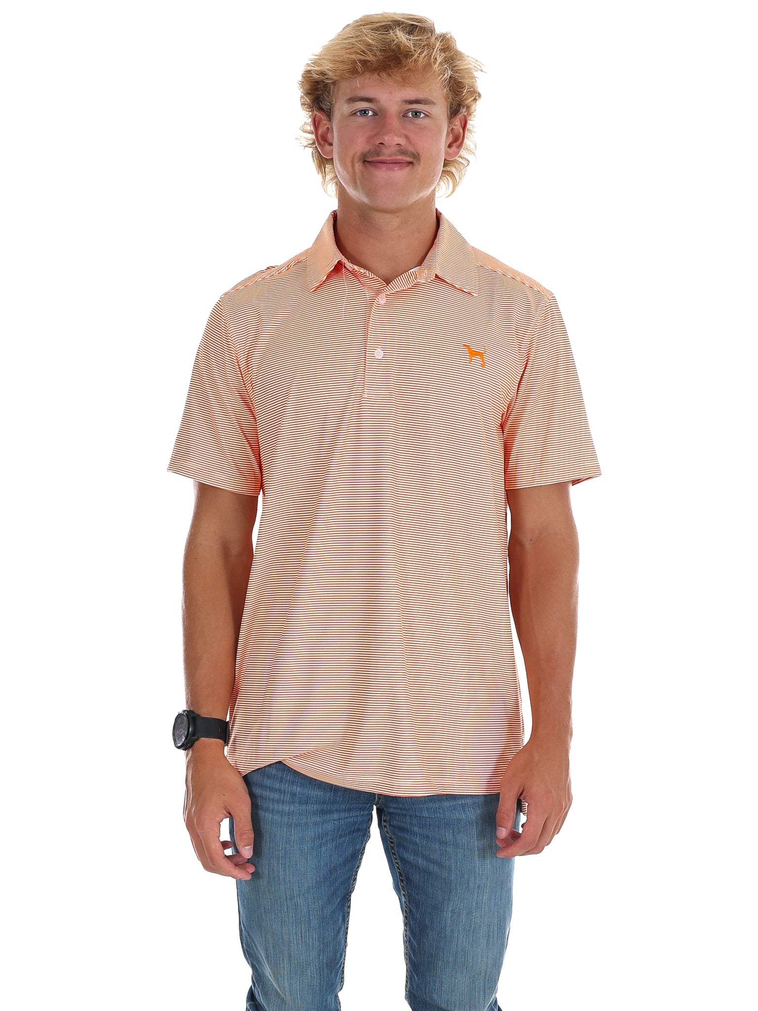 Men's Stripe Hound Dog Polo