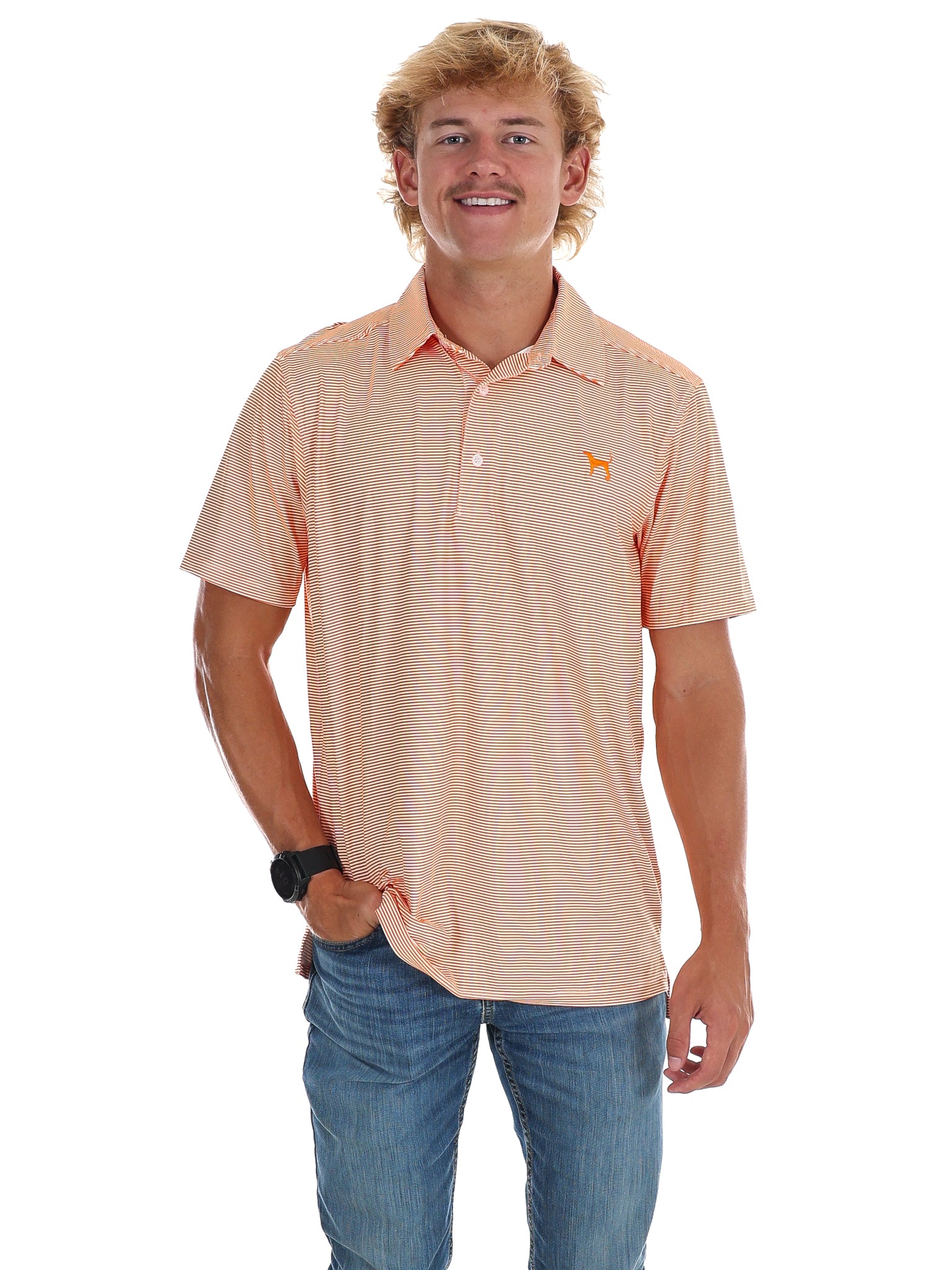 Men's Stripe Hound Dog Polo